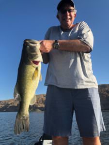 Largemouth Bass caught in Arizona