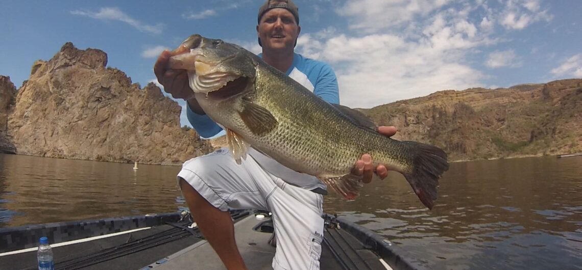 What plastic worms catch bass in Arizona - Addicted Bass Guides