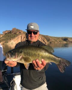 Summertime arizona largemouth bass