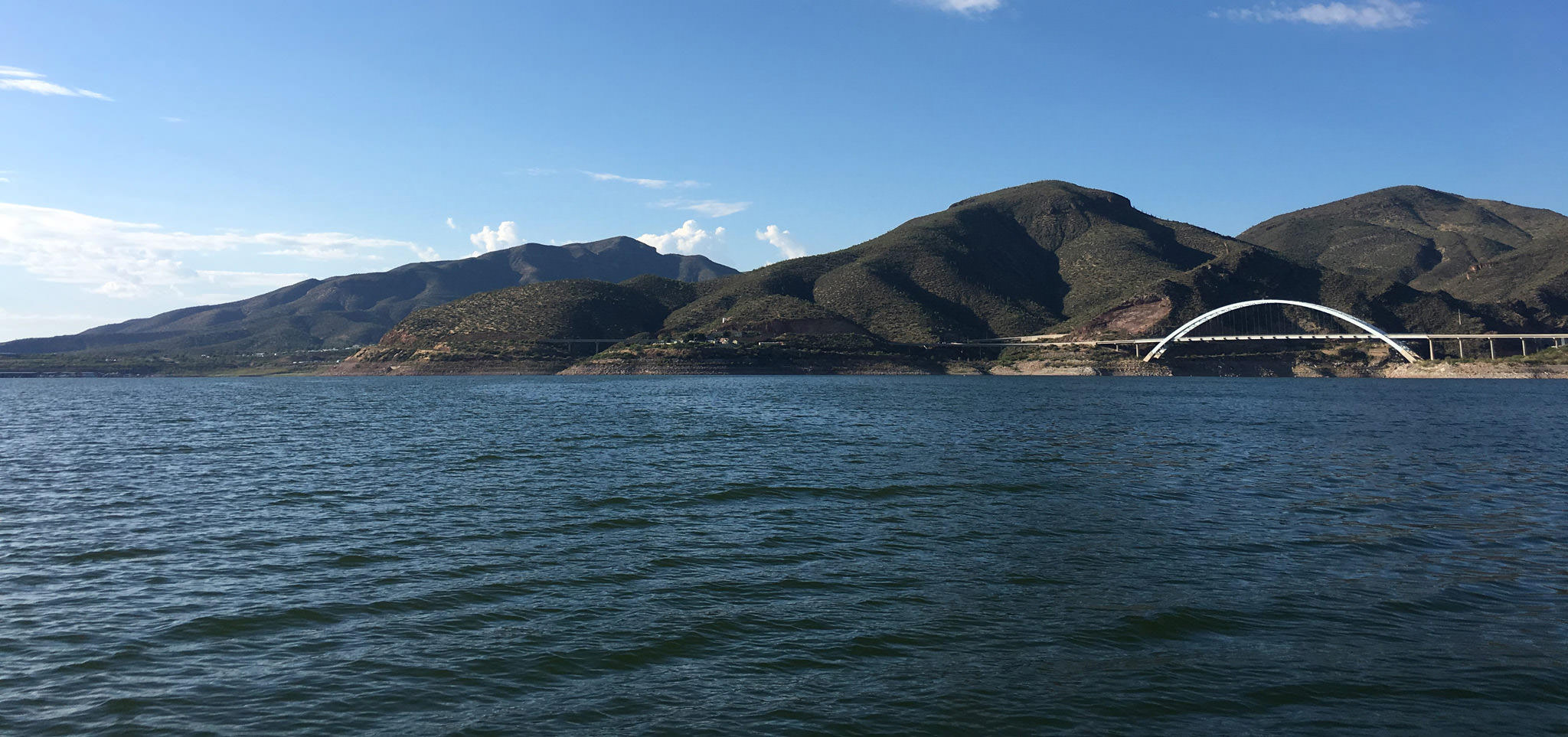 What fish are in Roosevelt Lake? Addicted Bass Guides