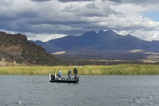 saguaro lake fishing guide trip