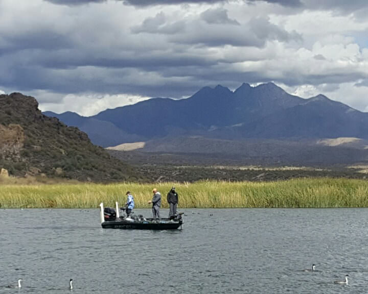 saguaro lake fishing guide trip